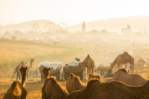 Destination wedding in Pushkar — holy lake venue, Rajasthan