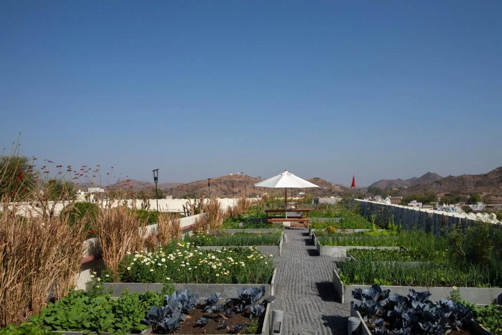 Rooftop kitchen garden with herb beds and Aravalli hill views at RAAS Devigarh Udaipur