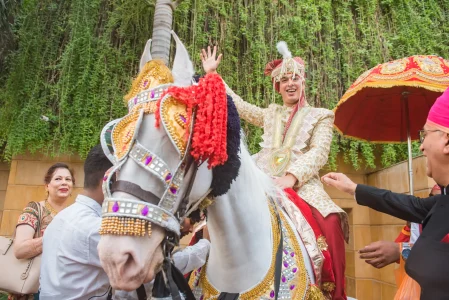 Groom in a cream and gold embroidered sherwani with a red and gold turban adorned with pearl strings laughing and waving while riding a decorated white horse during a royal baraat procession at a luxury destination wedding in Udaipur Rajasthan with lush green ivy wall backdrop